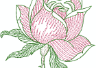 floral-010 5x7